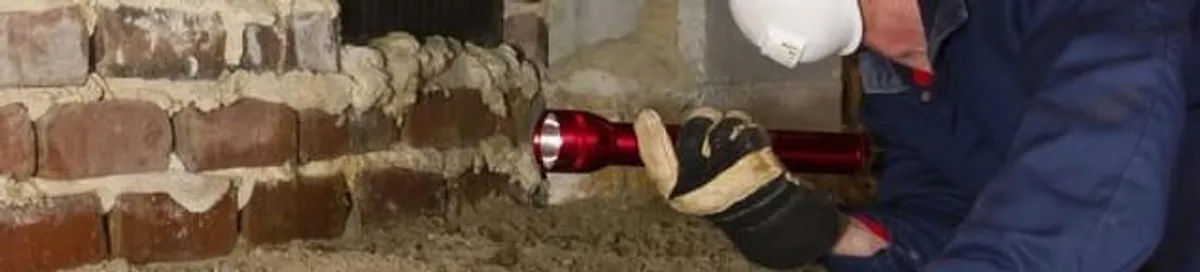 Pest control technician inspecting a crawl space for ant activity and entry points in Saint Louis, MO
