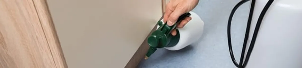 Bed bug exterminator treating baseboards and cracks with targeted spray in Saint Louis, MO