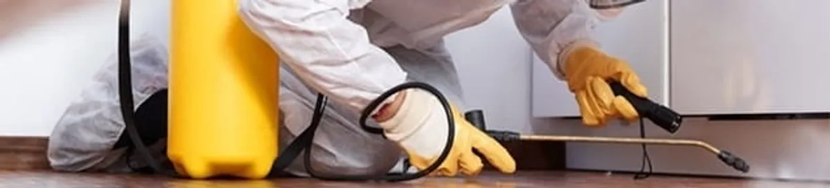 Roach exterminator treating cracks and crevices along kitchen baseboards in Saint Louis, MO