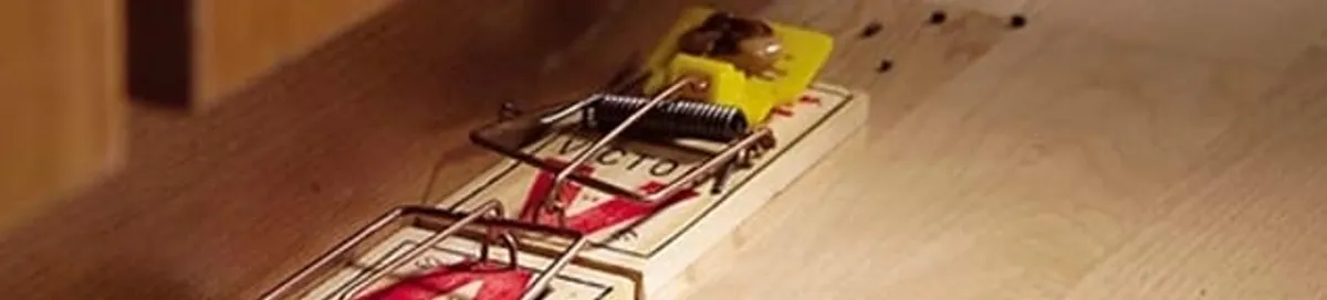 Rodent trap set indoors for rodent control and prevention in Saint Louis, MO